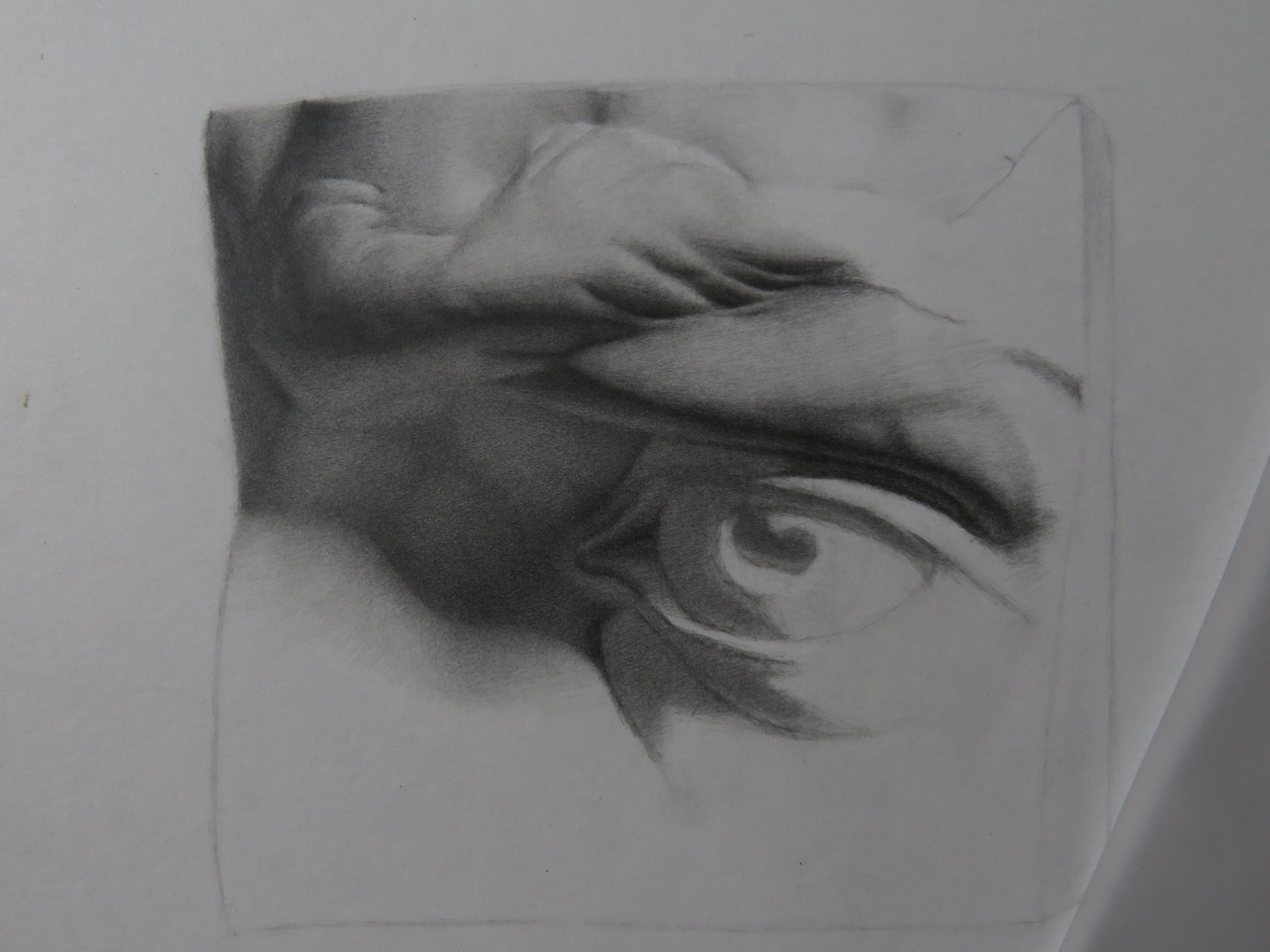 Reply To: Omar Gomez Cast Drawing